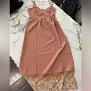 Tobi vintage inspired blush dress with lace